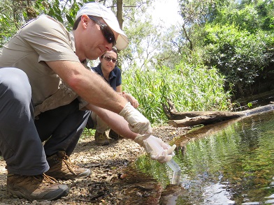 Josh Griffiths of cesar Australia and Tamielle Brunt of UQ taking water samples at Moggill Creek.