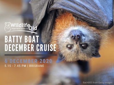 Batty Boat is back this December!