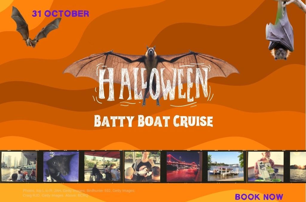 Halloween Batty Boat Cruise