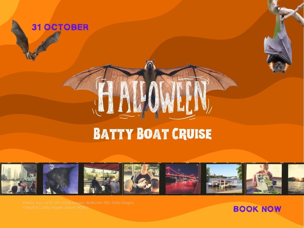 Batty Boat Halloween Cruise 2021