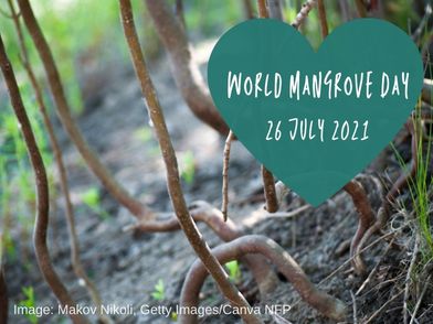 Get Involved on World Mangrove Day—26 July 2021