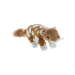 Quoll soft toy