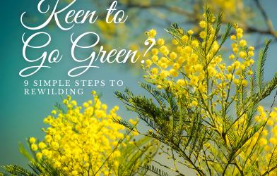 Keen to Go Green?