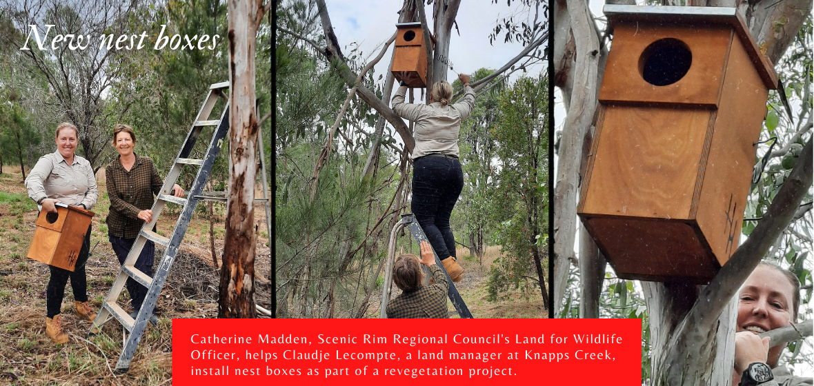 Catherine Madden and Claudje Lecompte install nest boxes
