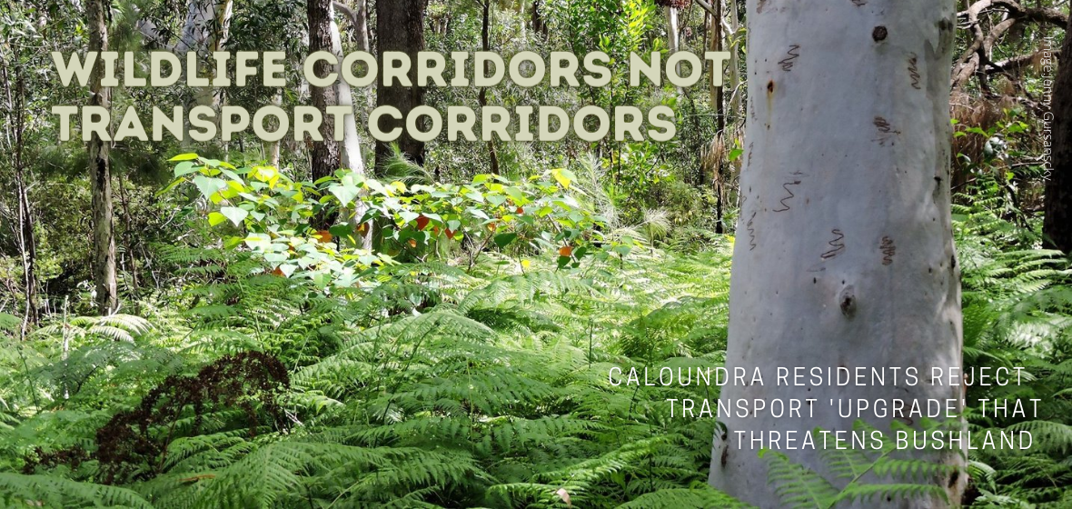 Wildlife Corridors Not Transport Corridors