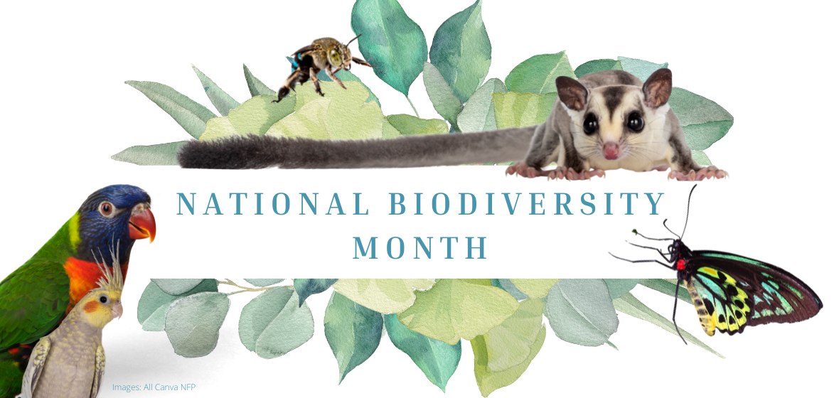 National Biodiversity Month