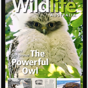 Wildlife Australia Autumn 2023