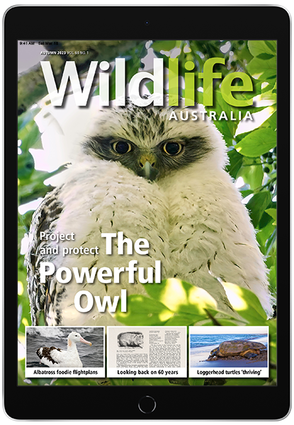 Wildlife Australia Autumn 2023