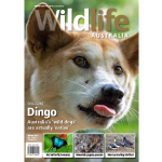 Wildlife Australia Magazine