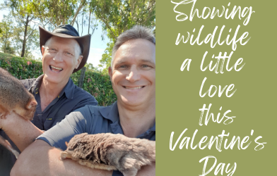 Showing wildlife a little love this Valentine’s Day