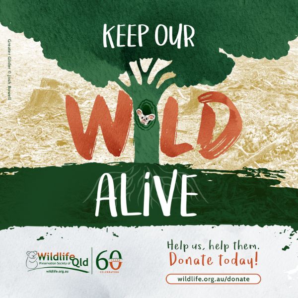 Keep Our Wild Alive Appeal 2023