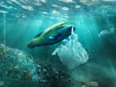 Petition against marine plastic
