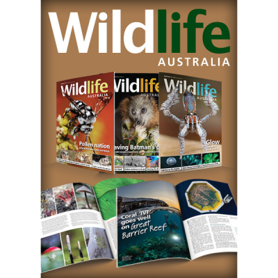 Subscribe to Wildlife Australia