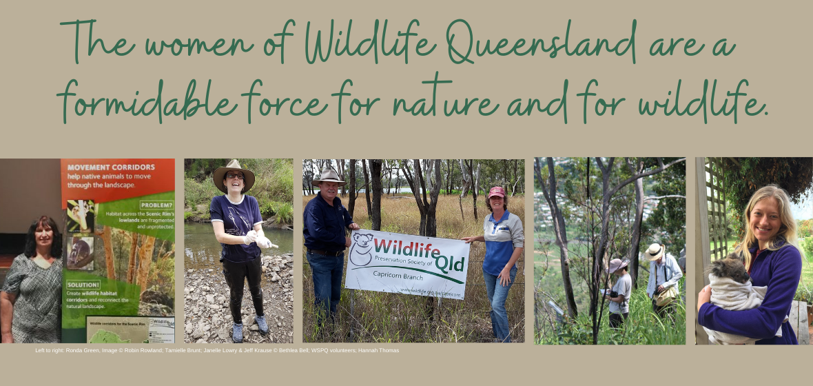 The women of Wildlife Queensland are a formidable force