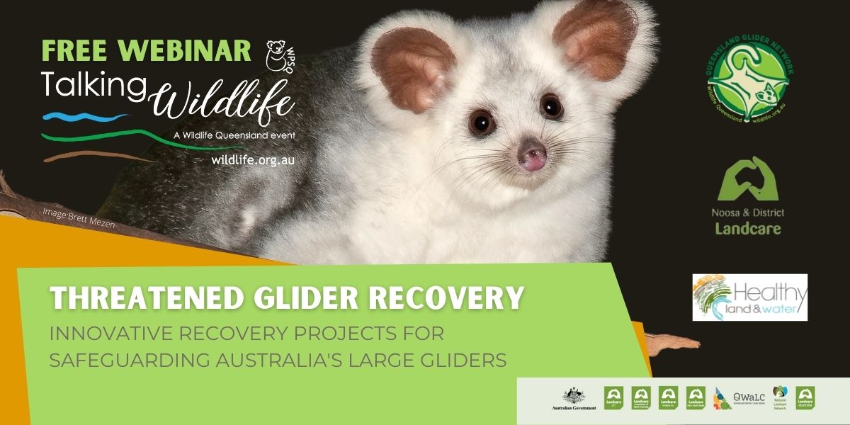 Threatened Glider Recovery webinar