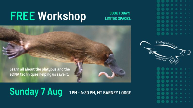 PlatypusWatch Workshop, Mount Barney