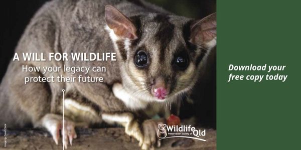 A Will for Wildlife