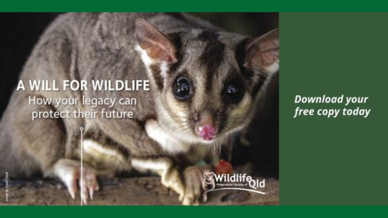 Introducing A Will for Wildlife