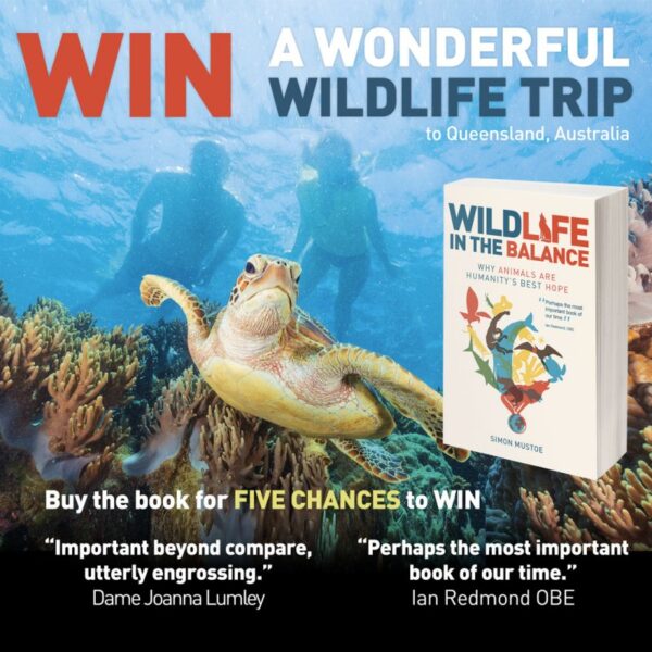 Wildlife in the Balance competition