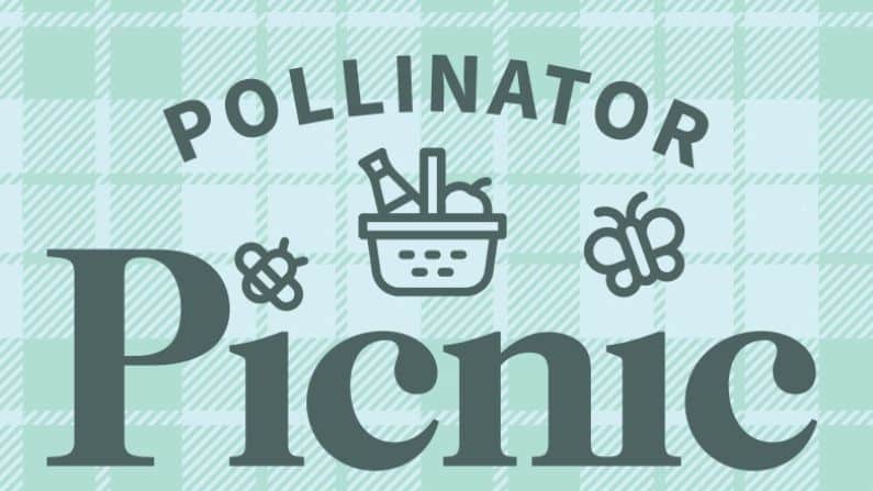 Australian Pollinator Week at IndiScapes