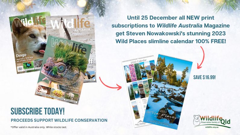 Wildlife Australia Christmas 2022 Subscription Offer