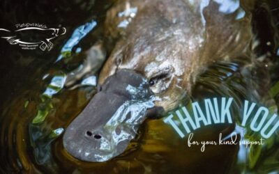 Platypus Christmas appeal wrap-up