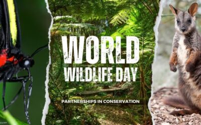 Celebrating our conservation partnerships this World Wildlife Day 2023