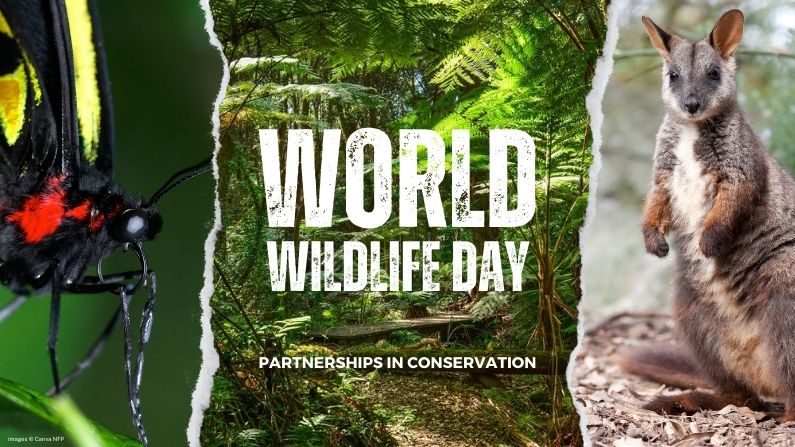 Celebrating our conservation partnerships this World Wildlife Day 2023