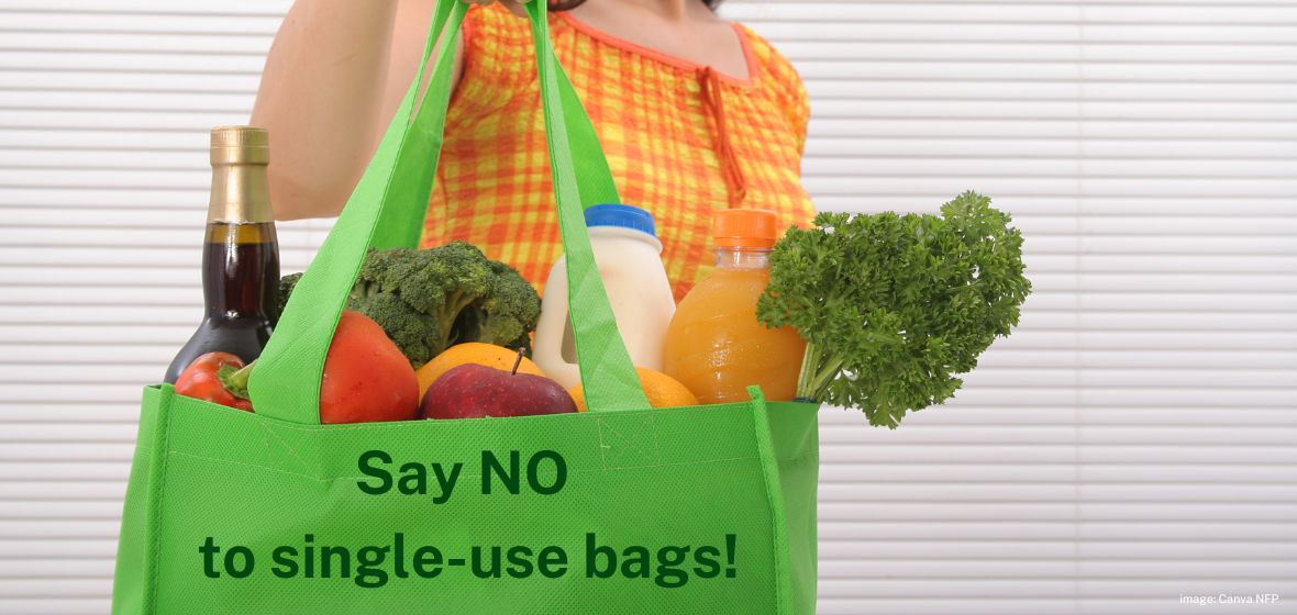 Single-use plastic bags