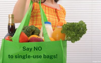 Boomerang Alliance wants stronger reusable bags, not paper bags