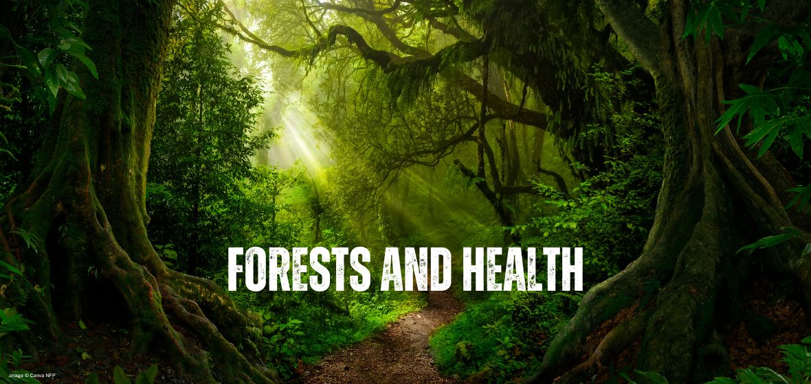 International Day of Forests 2023 global event highlights importance of  forests for environmental and human health