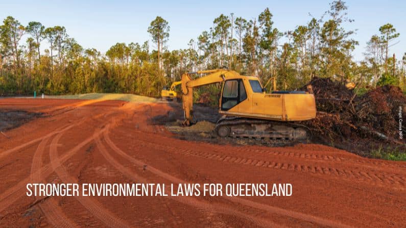Wildlife Queensland welcomes strengthening of QLD’s environmental laws