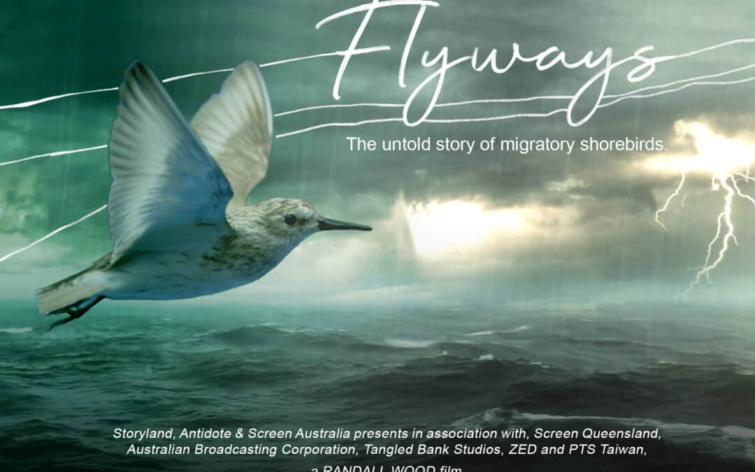 World Premiere of FLYWAYS