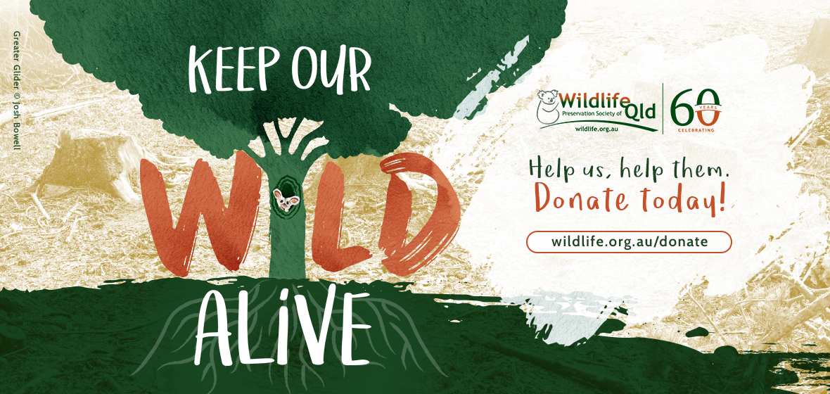 Keep Our WILD Alive Appeal