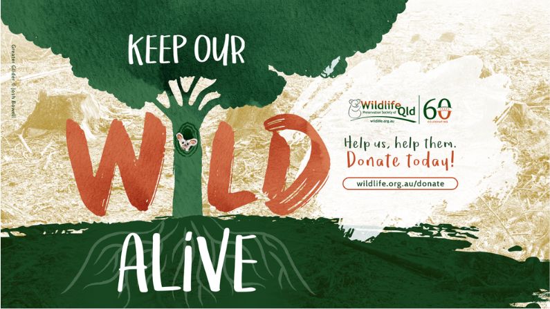 Wildlife Queensland needs your help fighting for native wildlife homes