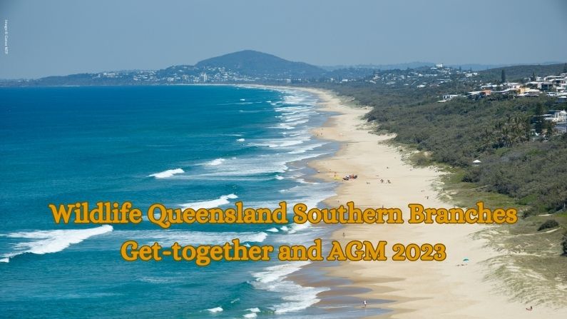 Wildlife Queensland Southern Branches Get-together and AGM 2023