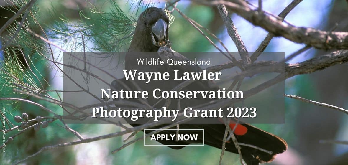 Wayne Lawler Nature Conservation Photography Grant