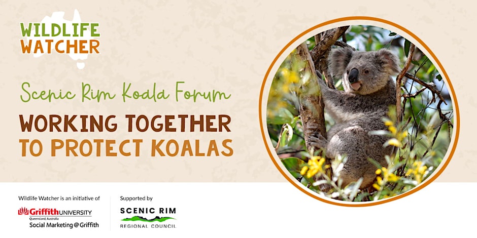 Scenic Rim Koala Forum