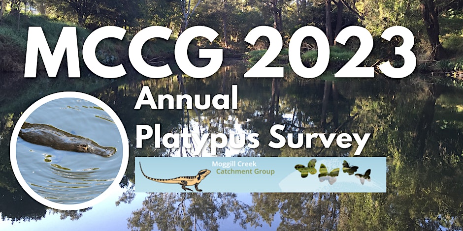 MCCG Annual Platypus Survey