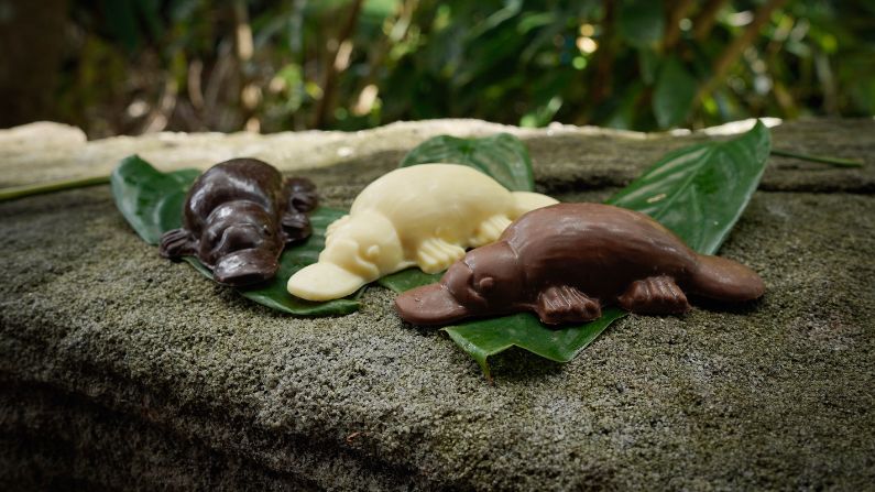 Maleny Chocolate Co. chocolate platypus
