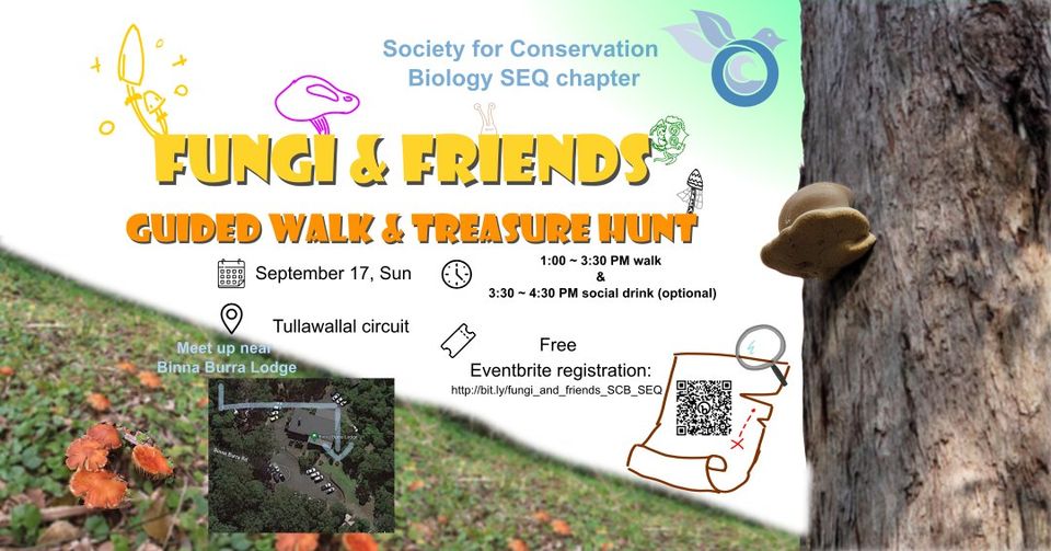 Fungi and Friends – Guided Walk and Treasure Hunt (Tullawallal Circuit)