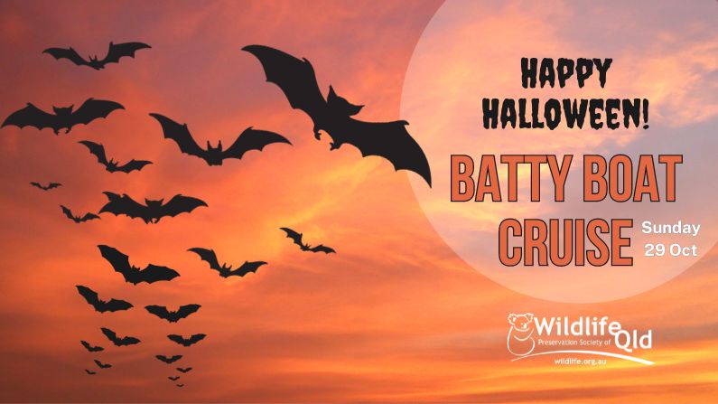 Batty Boat Halloween Cruise 2023