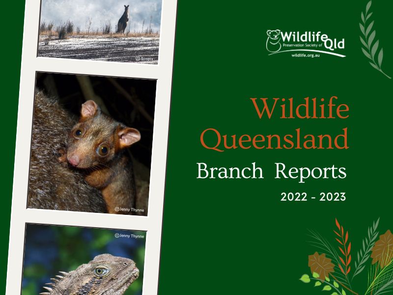 Wildlife Queensland Branch Reports 2023