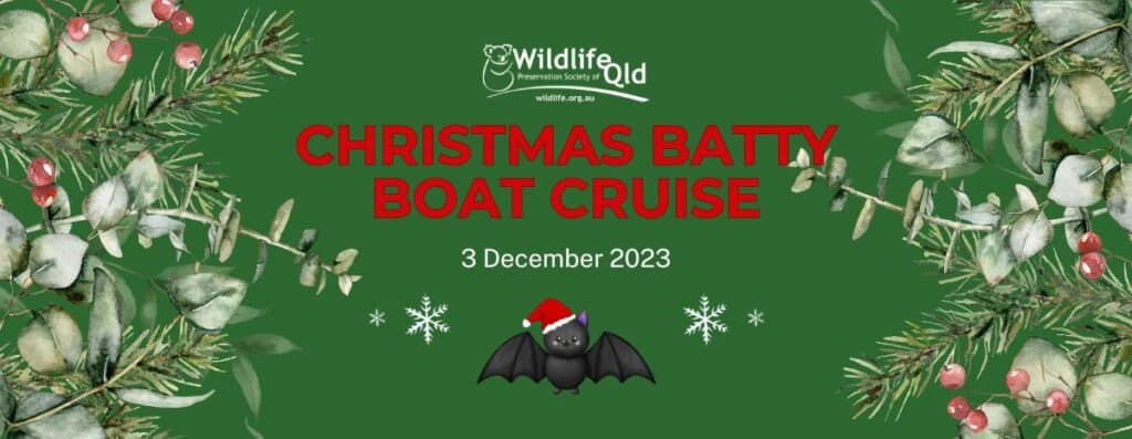 Batty Boat Xmas Cruise 2023