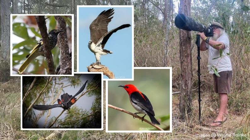 Wildlife Queensland announces winner of inaugural Wayne Lawler Nature Conservation Photography Grant 
