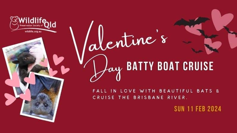 Batty Boat Valentine's Cru 2024