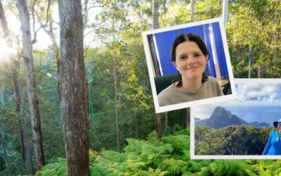 Wildlife Queensland Internship Program: Bridging academia and conservation