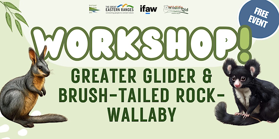Greater glider and Brush-tailed Rock-wallaby workshop