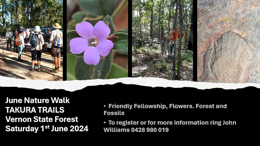 Wildlife Qld Fraser Coast nature walk - June 2024