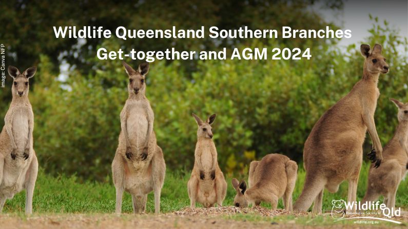 Wildlife Queensland SBGT and AGM 2024